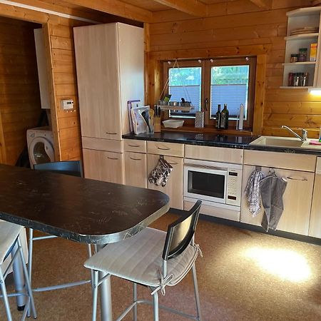 Ferienhaeuser An Den Orgelpfeifen Scheibenberg Kültér fotó